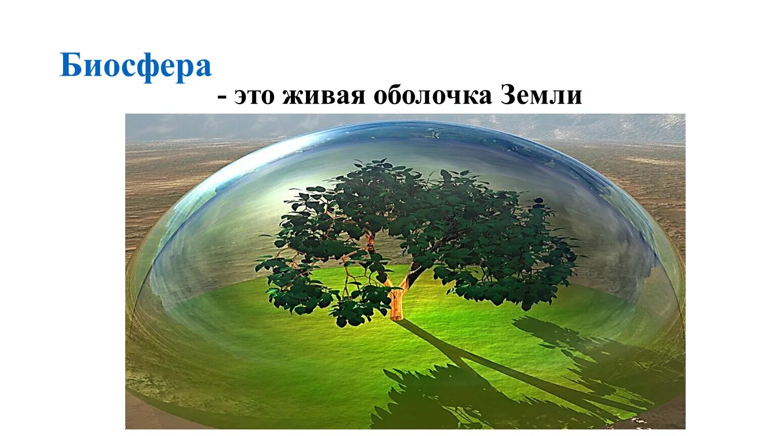 Все живое на земле называется