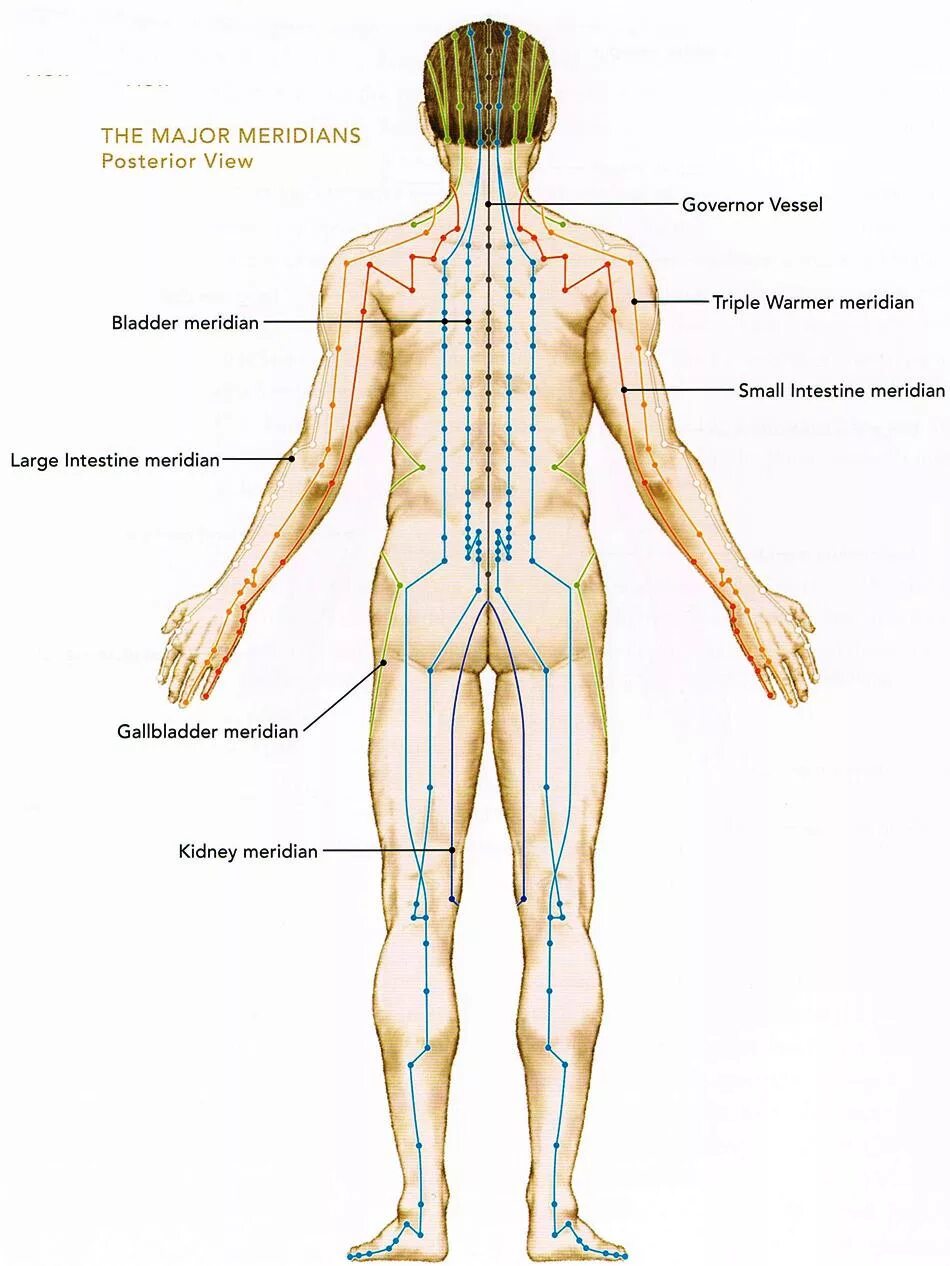 Меридианы тела человека китайская медицина. Энергетические меридианы тела человека схема. Энергетические каналы тела человека меридианы. Меридин