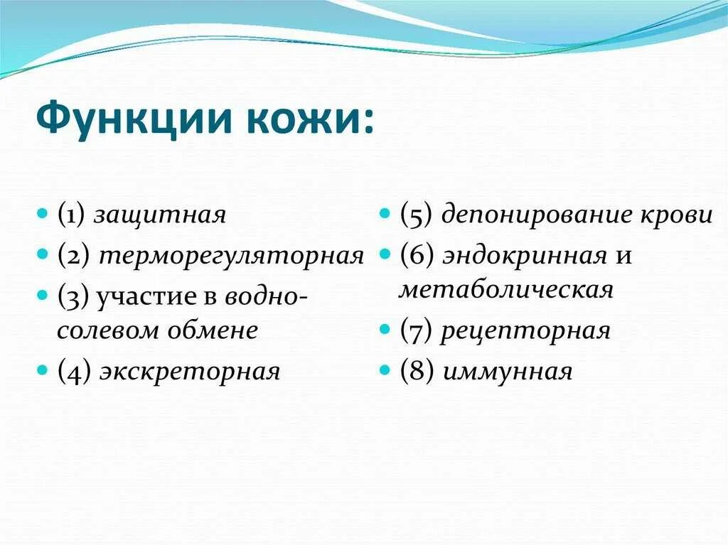 Охарактеризуйте роль кожи в жизни. Важнейшие функции кожи. Пример защитной функции кожи. Функции кожи кратко 4 класс. Перечислите основные функции кожи.