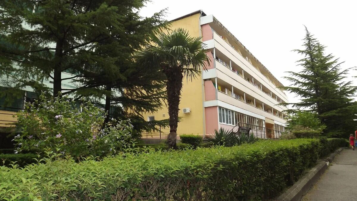 Санаторий шепси туапсе официальный сайт. Санаторий шипшин краснодарский край. Пансионат шепси краснодарский край. Лагерь шепси туапсе. Шепси туапсе санаторий.