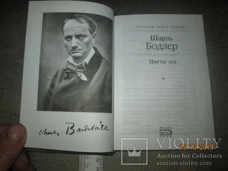 Цветы зла бодлер содержание. Книга цветы зла (бодлер шарль). Шарль пьер бодле́р (1821-1867). Бодлер шарль из сборника «цветы зла». Цветы зла бодлер содержание.