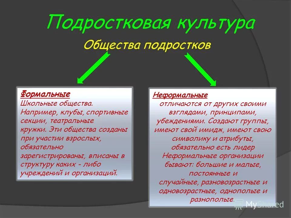 образование культура общество школа