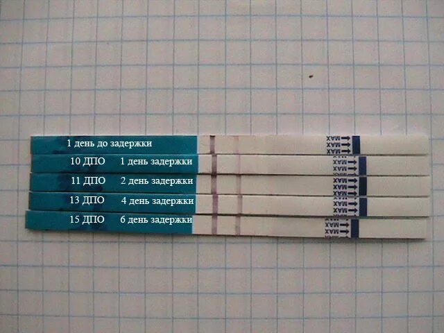 Задержка пять дней. 1 день задержки тест. тест в первый день задержки. тест на 3 день задержки. задержка 4 дня.