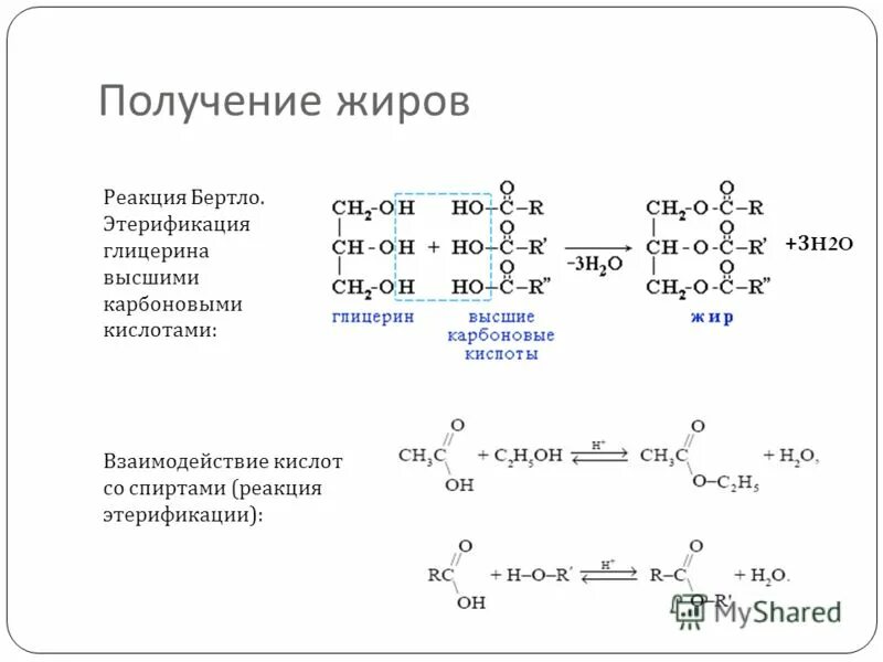 Реакция образования жира. Глицилсерин реакция этерификации. Реакция этерификации глицерина. Получение жиров этерификация. Этерификация глицерина органическими кислотами.