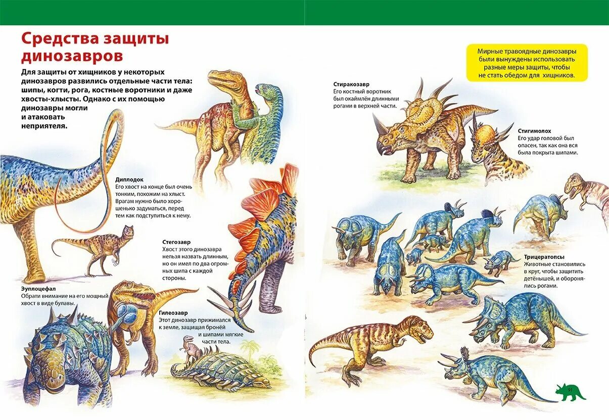 Нептичьи динозавры виды. Динозавры названия. Виды динозавров с названиями. Динозавры картинки. Энциклопедия динозавров в картинках.