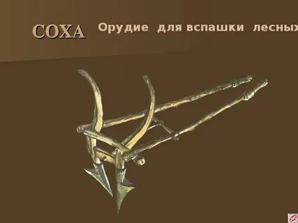 Год соха картинки