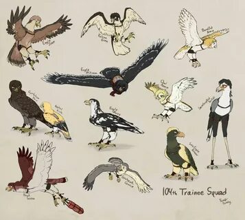 SnK birds of prey: 104th Trainee Squad by PurplePandog Attack On Titan Funn...