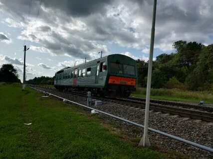 Электричка ельня