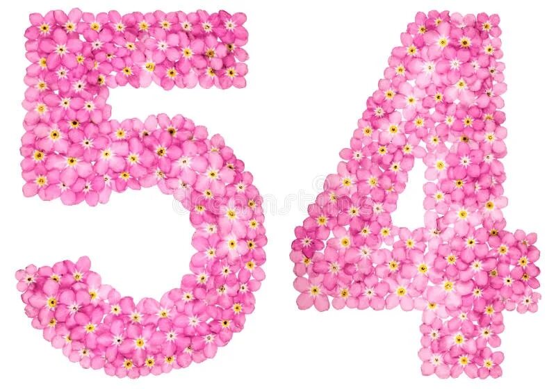 Пятьдесят четыре года. Цифра 4 розовая красивая. Цифры розовые на белом фоне. Цифра 4 розовая на белом фоне. Цифра 50 цветочный.