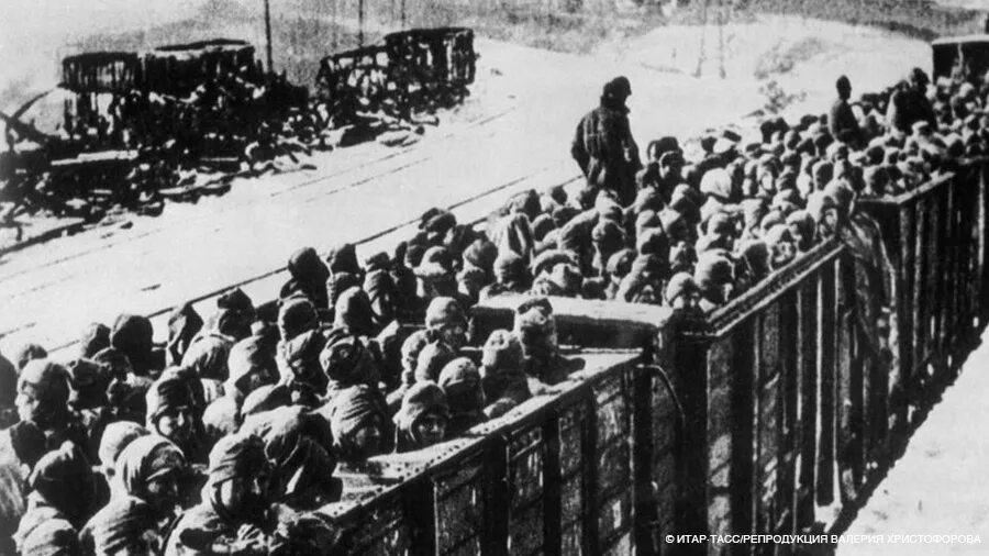 Колонна советских военнопленных 1941. Лагеря военнопленных в 1941. Депортация военнопленных. Советские военнопленные 1941. Депортация 1941