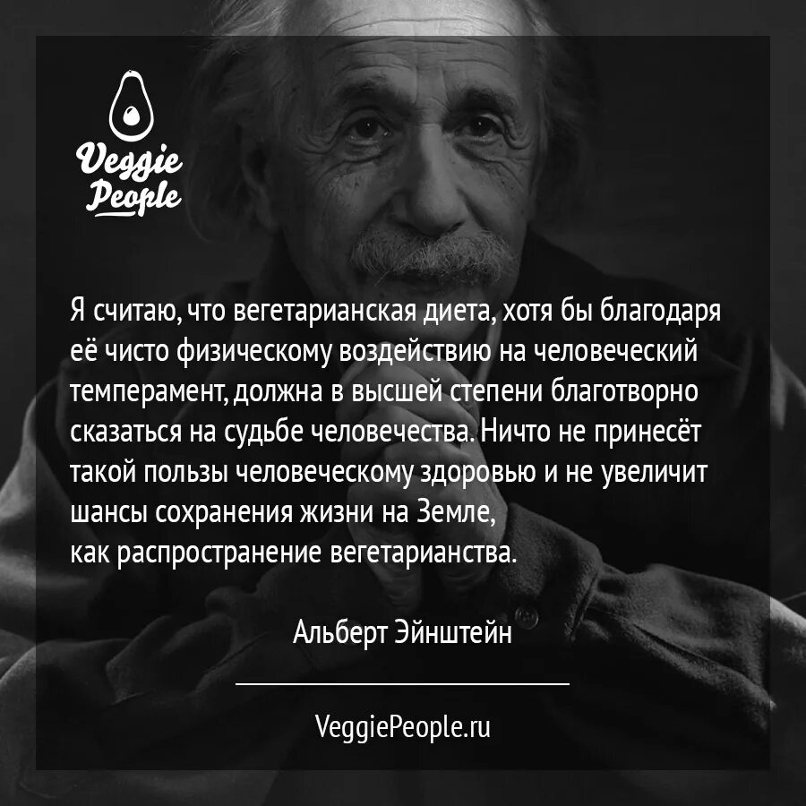 Эйнштейн цитаты. Высказывания альберта эйнштейна. альберт эйнштейн изречения. высказывания альберта эйнштейна о жизни. альберт эйнштейн цитаты.