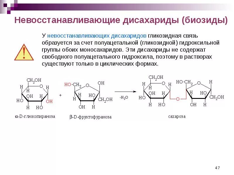 Дисахаридом является углевод. Восстанавливающие дисахариды строение. восстанавливающие дисахариды. строение, химические свойства. классификация дисахаридов восстанавливающие и невосстанавливающие. химические свойства углеводов дисахаридов.