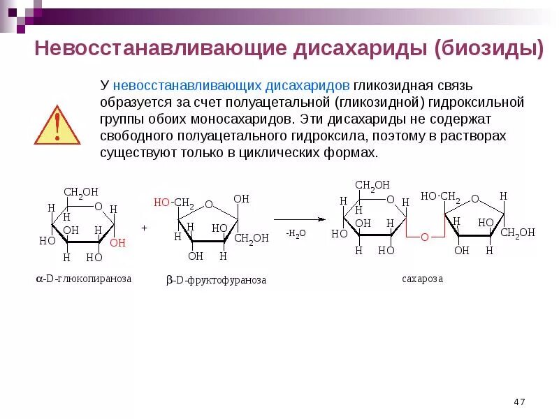 Третий экзамен сахарозы. Восстанавливающие дисахариды строение. Восстанавливающие дисахариды. Строение, химические свойства. Классификация дисахаридов восстанавливающие и невосстанавливающие. Химические свойства углеводов дисахаридов.