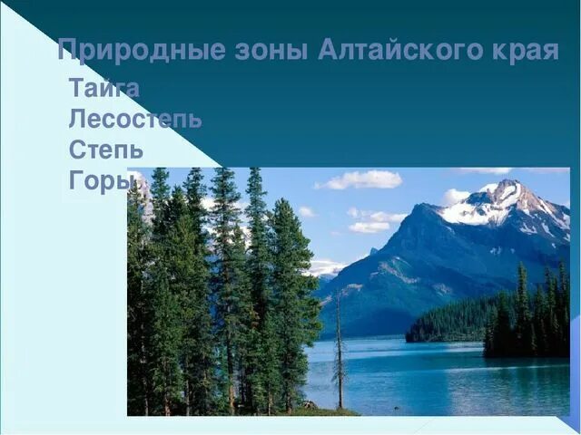 Природные зоны гор алтая таблица. Природные зоны Алтайского края. Алтайские горы природные зоны. Природные зоны в горах Алтая. Алтай природно климатическая зона.