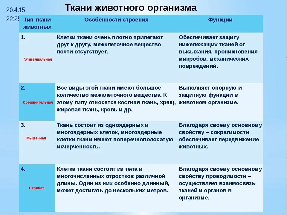 Ткань особенности строения функции таблица. Таблица ткани животных 7 класс биология. Ткани животных их строение и функции. Характеристика типов тканей животных биология таблица 7 класс. Типы тканей животных таблица.