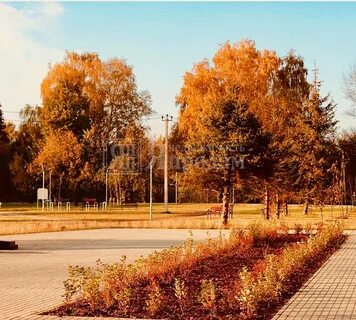 Долгопрудный ул парковая 46 корп 1