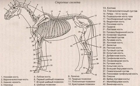 Строение года