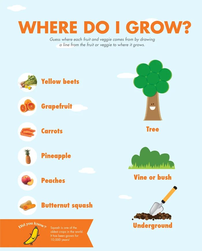 Where vegetables. How Fruits and Vegetables grow Worksheet. Варианты иллюстрации идиомы as Tree so the Fruit. Where do Fruits and Vegetables grow. Grow формы.