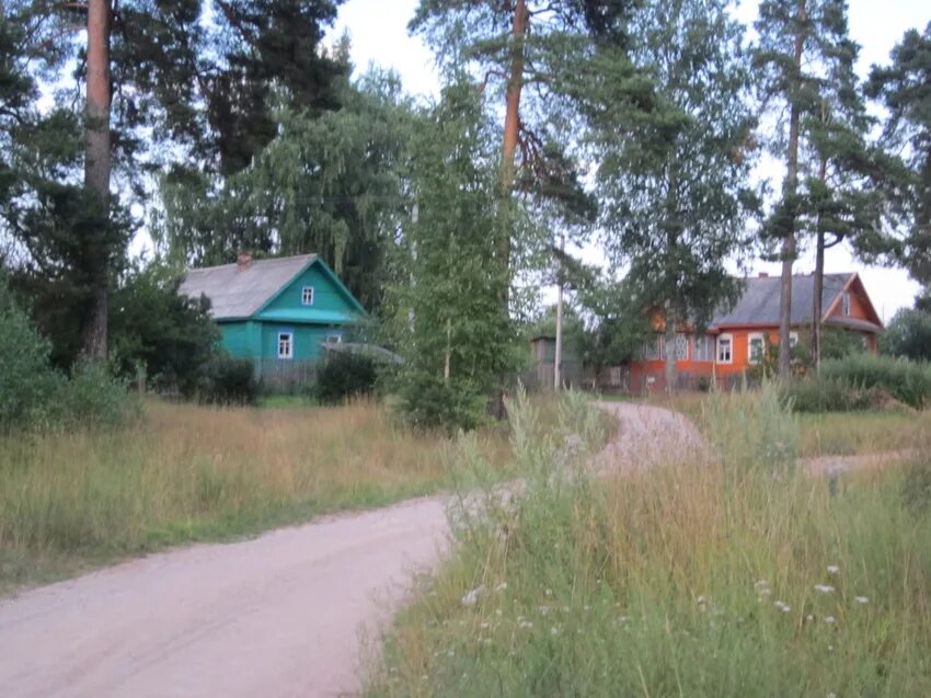 Новгородская область поселок хвойнинское. Поселок Кабожа Хвойнинский район Новгородская область. Кабожа Новгородская область Хвойнинский. Кабожа (Хвойнинский район). Станция Кабожа Новгородская область Хвойнинский район.