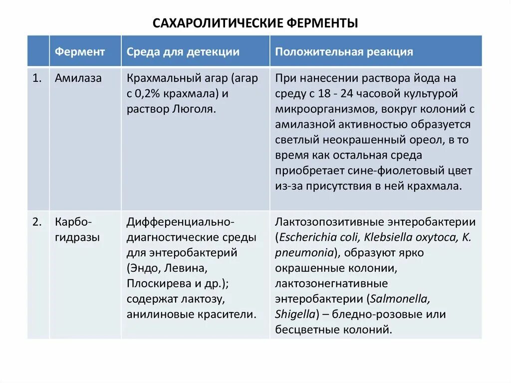 Сахаролитические свойства бактерий. Сахаролитические ферменты. Сахаролитические ферменты микроорганизмов. Ферменты бактерий сахаролитические протеолитические. Сахаролитические ферменты микробиология.