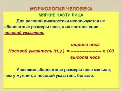 Круглый морфологический
