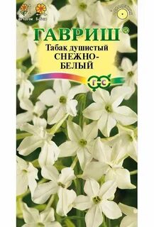 Белоснежный душистый