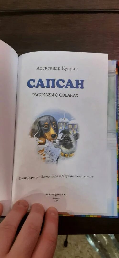 Сапсан рассказ куприна. Куприн сапсан. Куприн и пес сапсан. Куприн сапсан. Сапсан собака куприн.