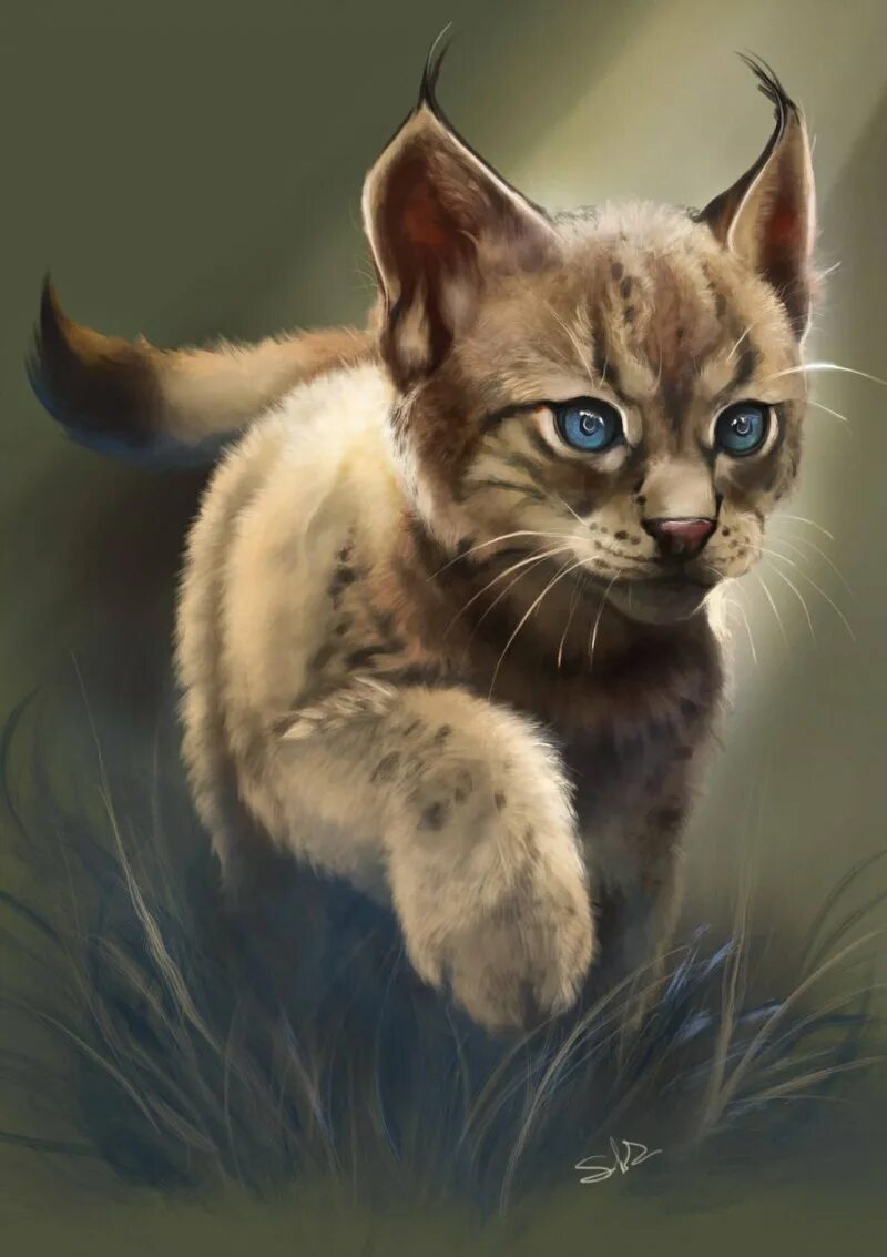 Рысь арт. Коты воители рысёнок. коты воители рысь. коты воители рысёнок арт. коты воители каракал.