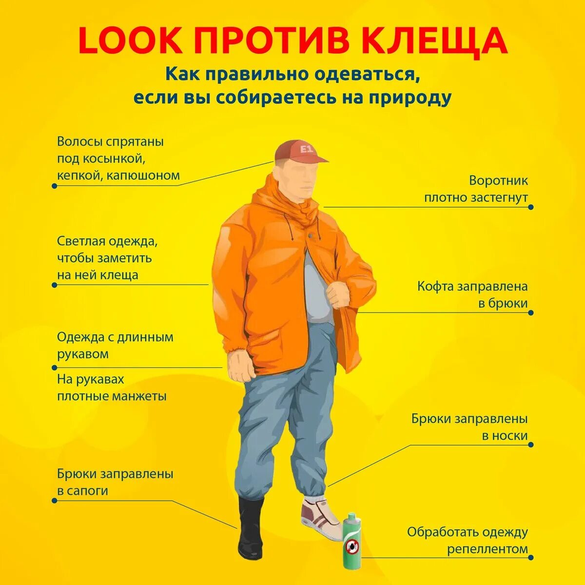 Look against. Правильная одежда от клещей. Правильная одежда. Одежда для похода в лес от клещей.