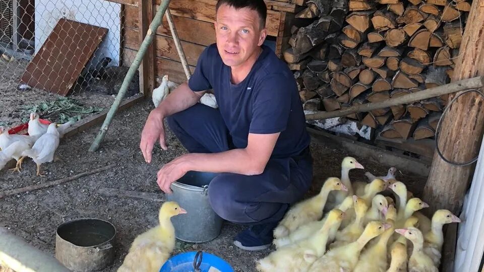 У хозяйки 8 уток гусей. У хозяйки 8 уток гусей