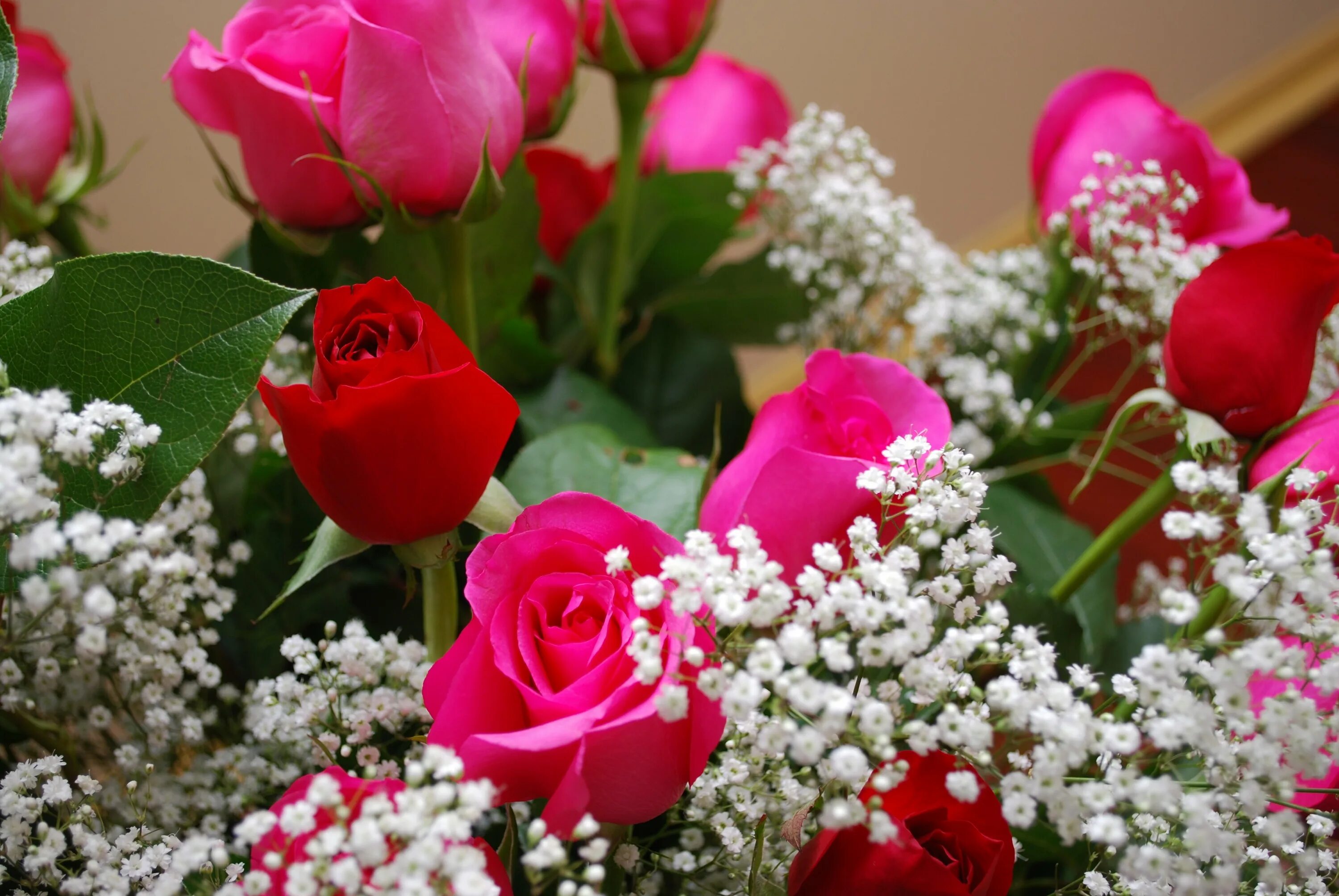 Шикарные цветы. Красивый букет. Шикарный букет цветов. Красивый букет роз.