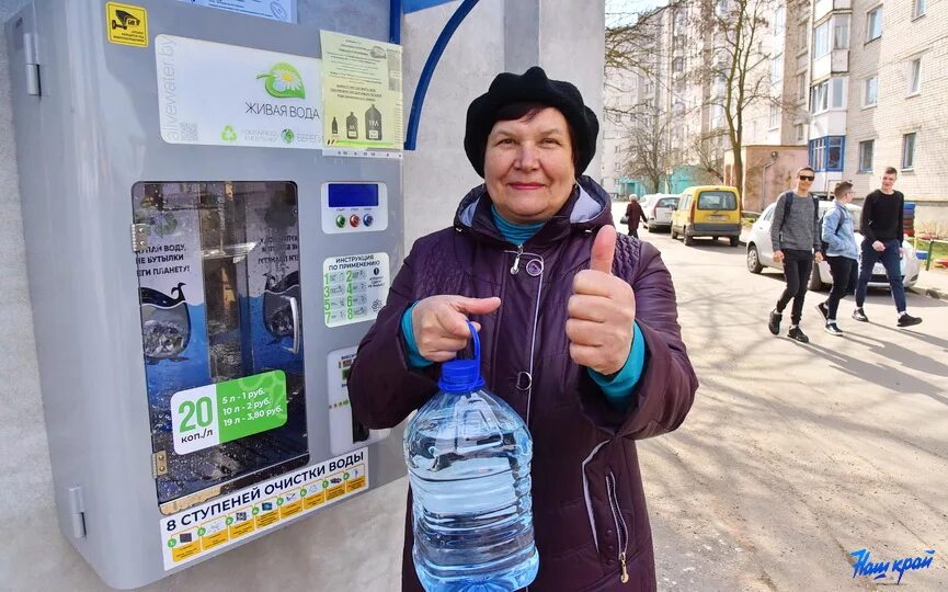 мощный трафик. елочный базар маленькие елки. трафик картинка. живая вода и мертвая вода. живые елки продаются.
