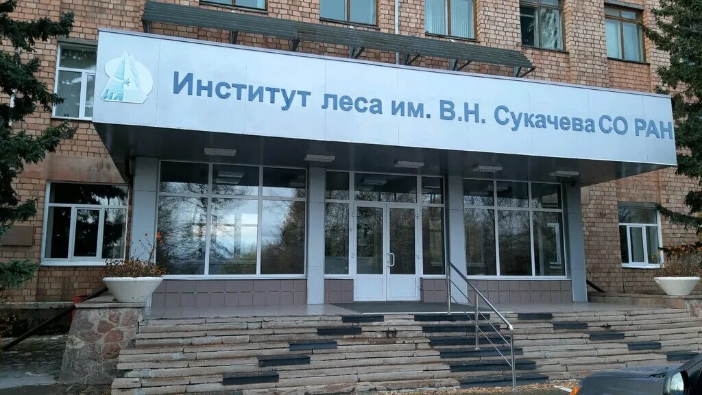 Институт леса имени в н сукачёва со ран. Институт сукачева. Институт сукачева. Институт леса имени сукачева красноярск. Ила ран.