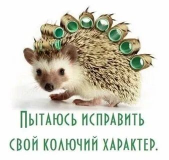Доброе утро ежик картинки с надписями