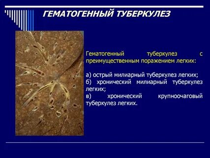 Поражения простейшими