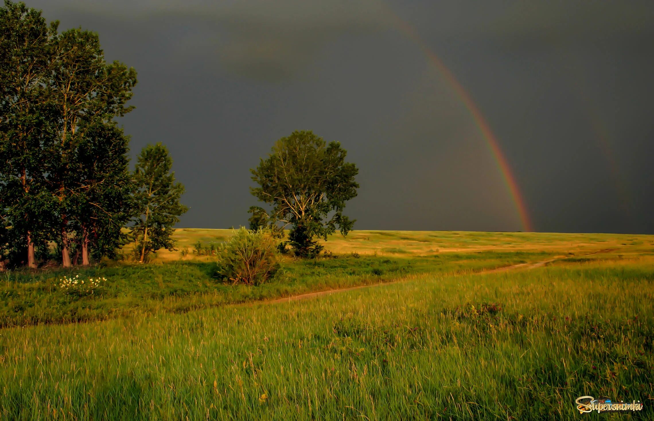 Свежо после грозы. Кольчугино перед грозой. Природа перед грозой. Природа после грозы. Лето гроза.