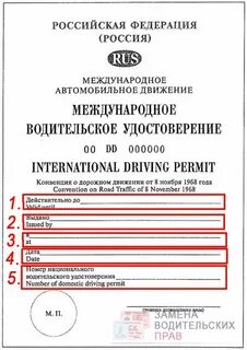 Срок действия международного