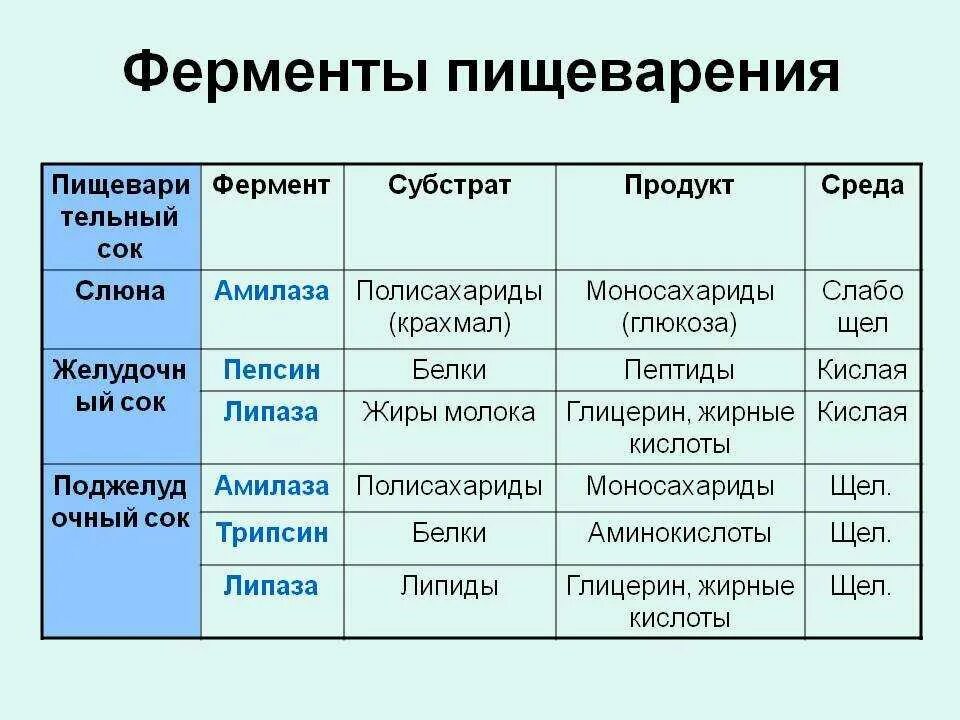 2 ферменты расщепляющие углеводы. Действие пищеварительных ферментов таблица. Таблица основные ферменты участвующие в процессе пищеварения. Таблица ферментов пищеварительной системы фермент субстрат. Ферменты пищеварительной системы человека таблица.