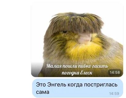 Пойти погасить