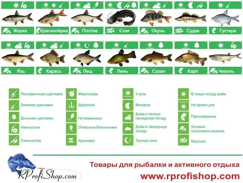 Температура клева. Таблица атмосферного давления для рыбалки. Таблица атмосферного давления для ловли рыбы. Нормальное давление для ловли рыбы зимой. Какое давление лучше для рыбалки зимой.