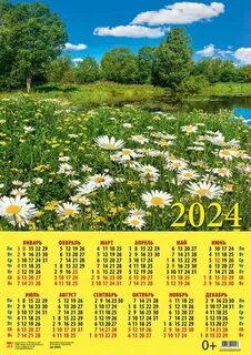 Календарь 2024 про