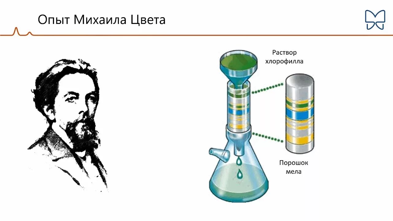 Цветопись Михаила Семеновича Цвета (Материалы исследовательской работы учащихся 
