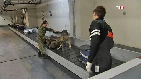 Ветконтроль