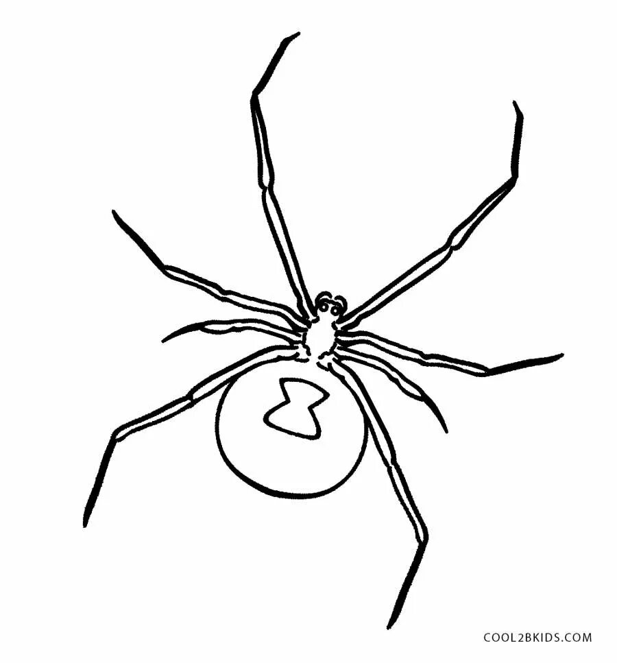 Паук карандашом легко. Разукрашка черная вдова паук. Паук Каракурт раскраска. Паук Каракурт рисунок. Нарисовать паука каракурта.