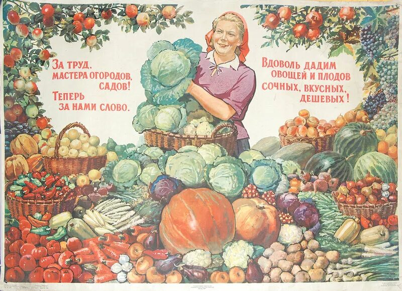 Собран в саду магазин. Собран в саду магазин. Фрукты дидактический материал. Игра магазин для детей. Во саду ли в огороде надпись.