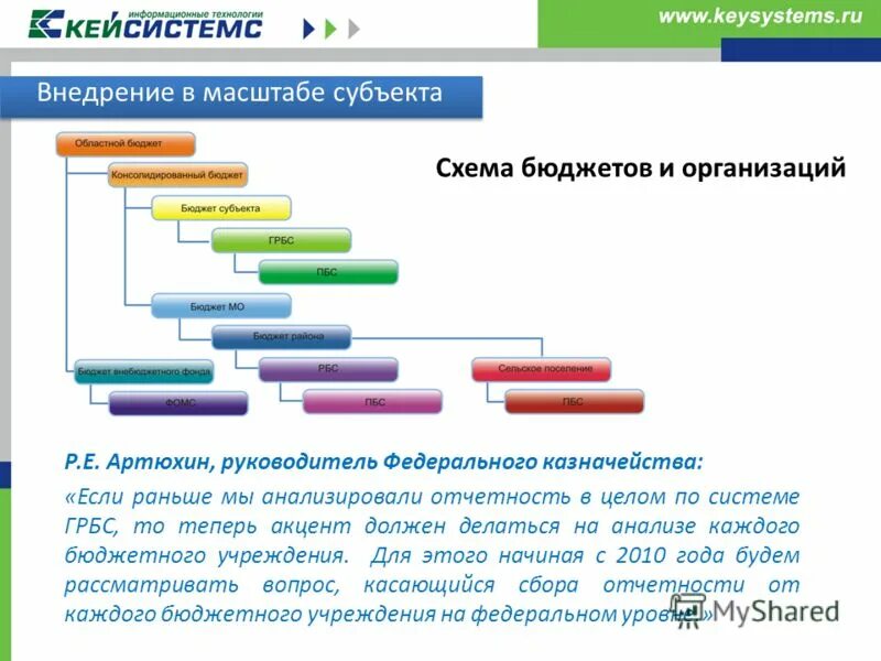 Отчеты веб своды