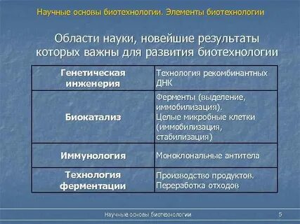Научная основа производства