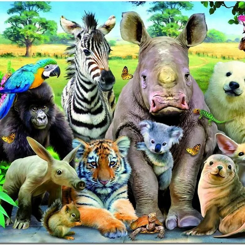 Много зверей. Множество животных. Много много животных. Животные вместе.