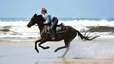 Ride horse have you ever ridden