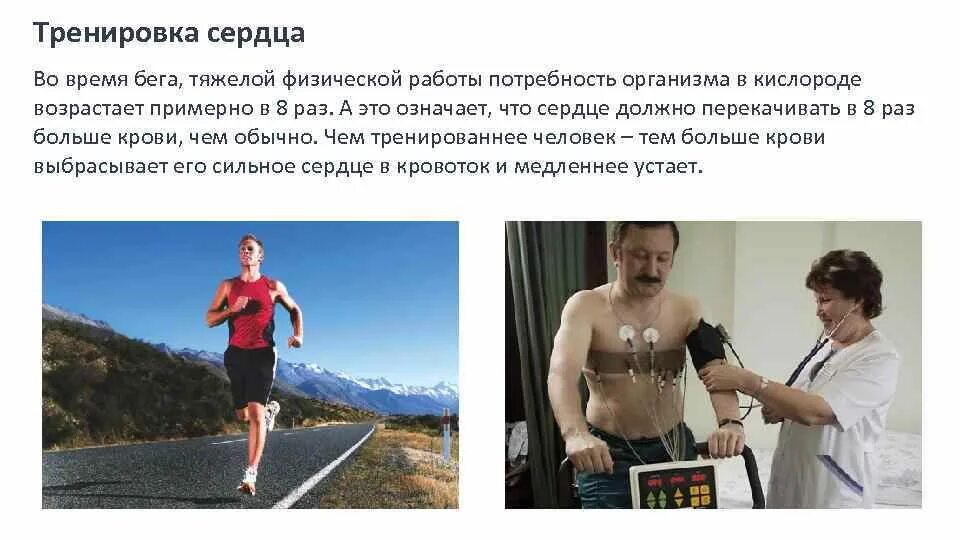 Какое значение имеет тренировка сердца кратко. Тренировка сердца. выносливость сердца тренировки. как тренировать сердце.